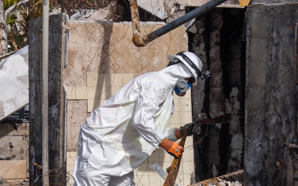 Soldiers clear wildfire hazardous waste from homes in Pacific Palisades