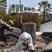 Soldiers clear wildfire hazardous waste from homes in Pacific Palisades