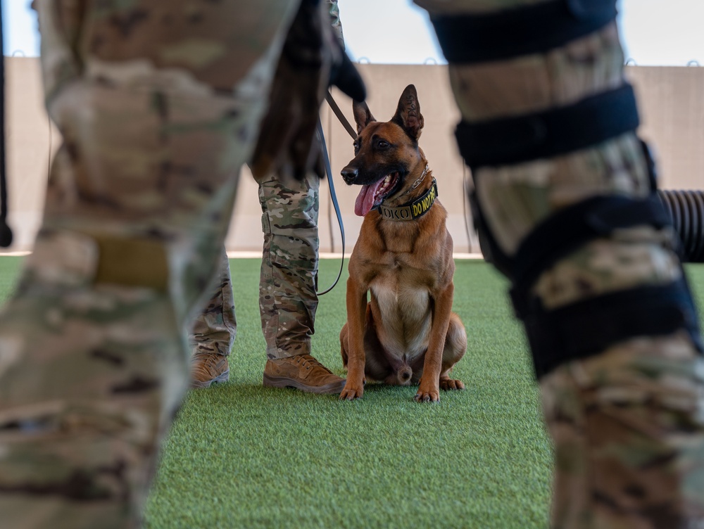 378th ESFS hosts bilateral K9 training with host nation