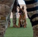 378th ESFS hosts bilateral K9 training with host nation