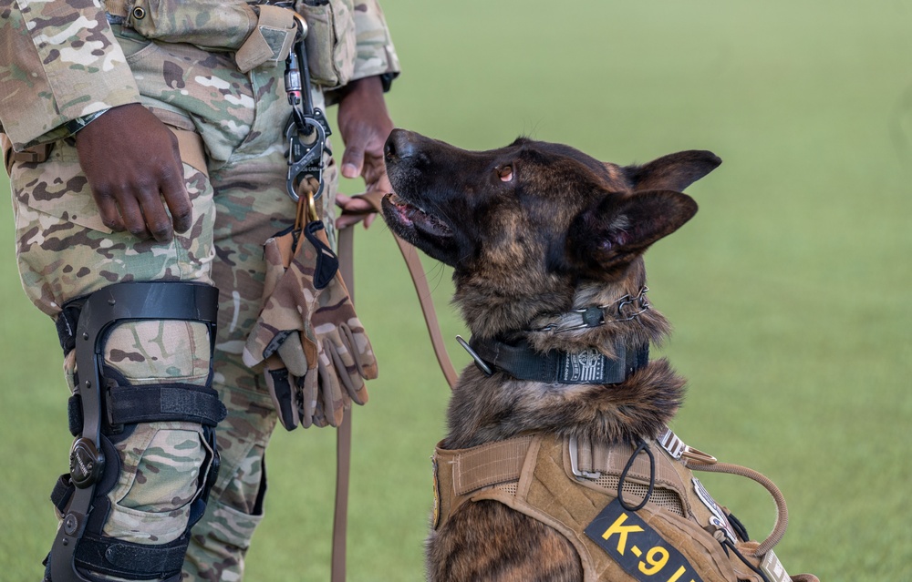378th ESFS hosts bilateral K9 training with host nation