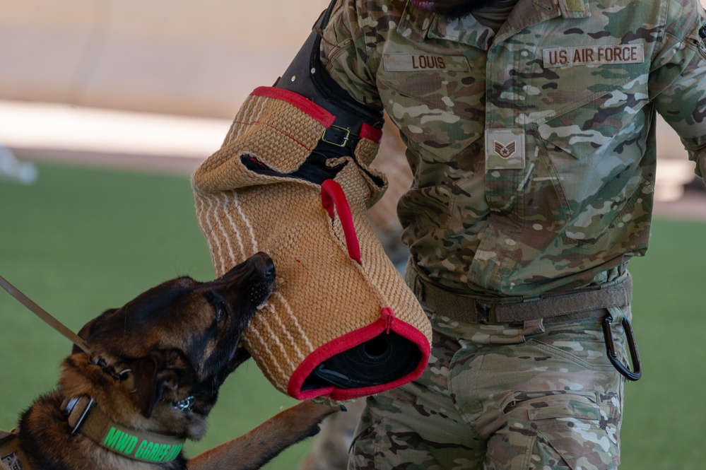 378th ESFS hosts bilateral K9 training with host nation
