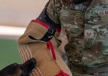 378th ESFS hosts bilateral K9 training with host nation