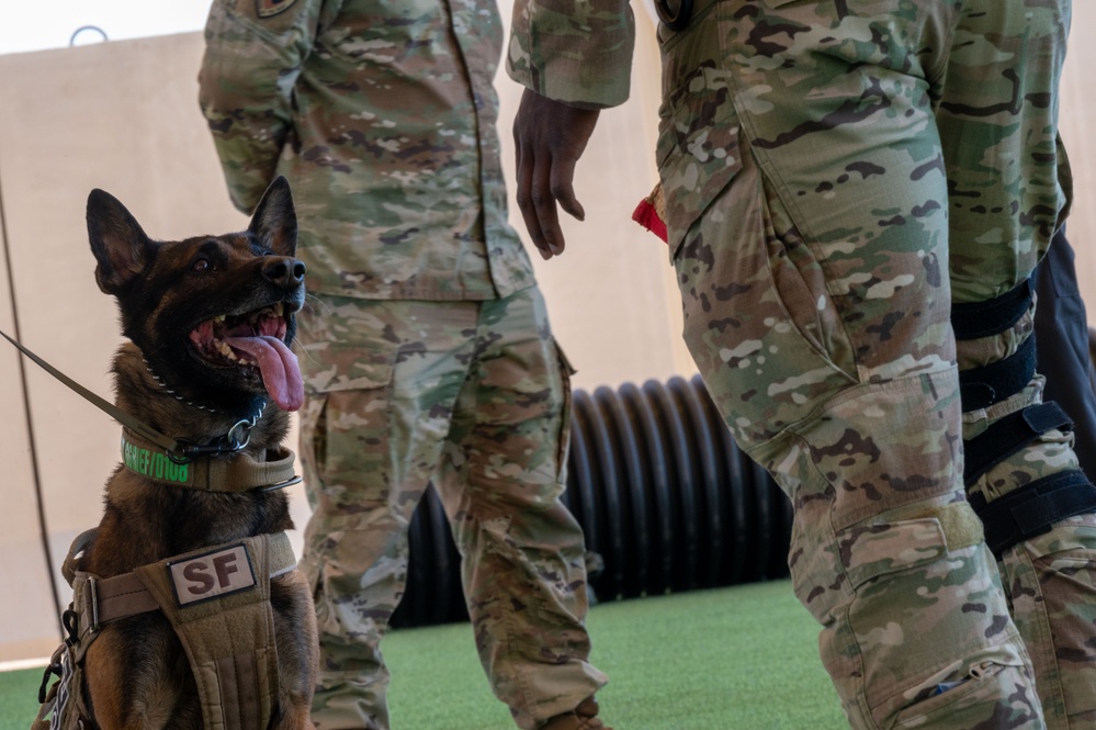 378th ESFS hosts bilateral K9 training with host nation