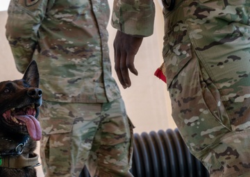 378th ESFS hosts bilateral K9 training with host nation