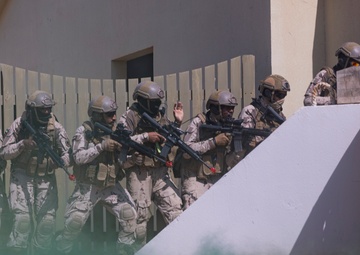 Intrepid Maven 25.2 MOUT Training