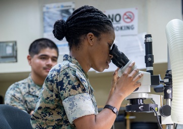 U.S. service members participate in joint training during Cope North 25