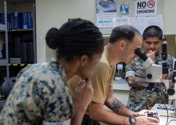 U.S. service members participate in joint training during Cope North 25