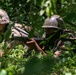 US, Tanzania practice patient evacuation at Justified Accord 2025