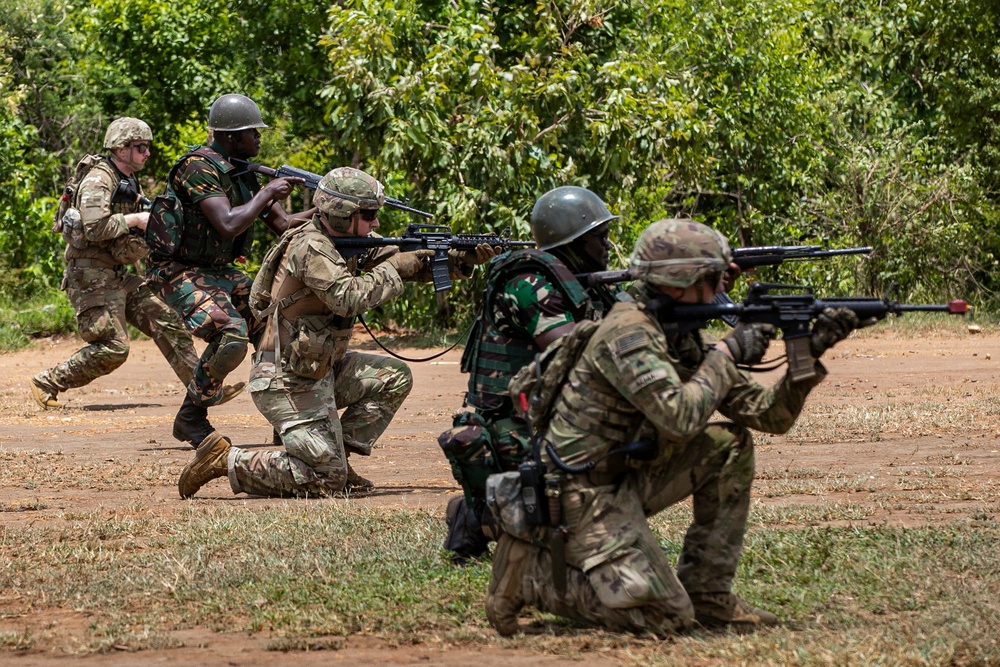 US, Tanzania practice patient evacuation at Justified Accord 2025