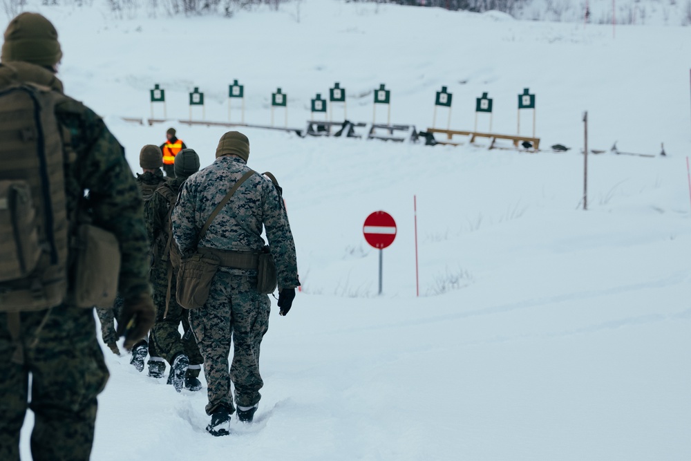 Exercise Joint Viking 25: Rounds Down Range