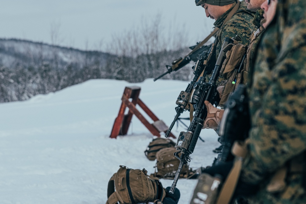 Exercise Joint Viking 25: Rounds Down Range