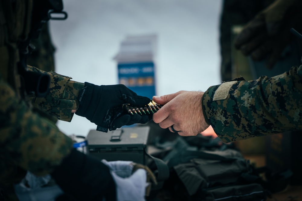 Exercise Joint Viking 25: Rounds Down Range