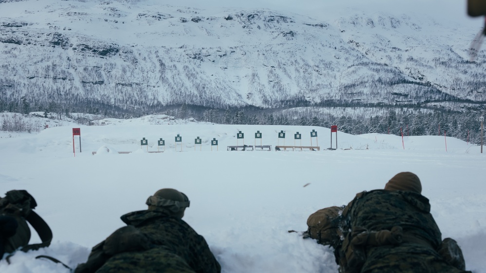 Exercise Joint Viking 25: Rounds Down Range