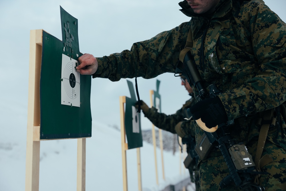 Exercise Joint Viking 25: Rounds Down Range