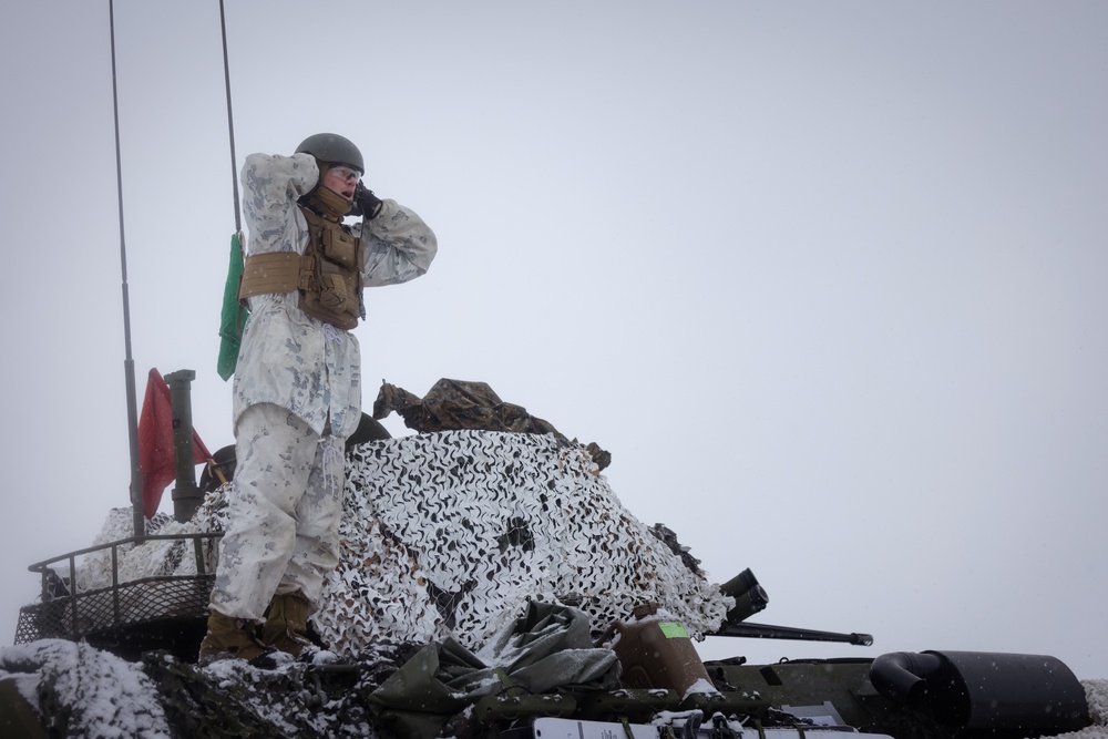 Exercise Joint Viking 25: LAV Zeroing Day