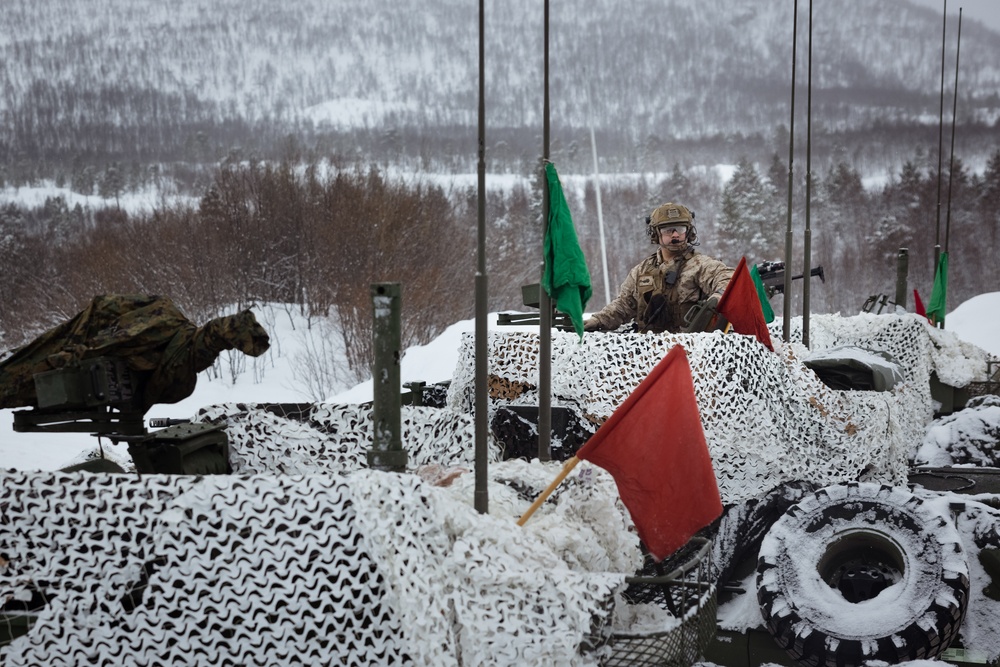 Exercise Joint Viking 25: LAV Zeroing Day