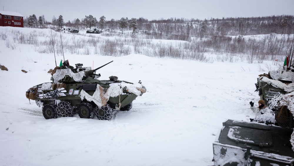 Exercise Joint Viking 25: LAV Zeroing Day