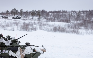 Exercise Joint Viking 25: LAV Zeroing Day