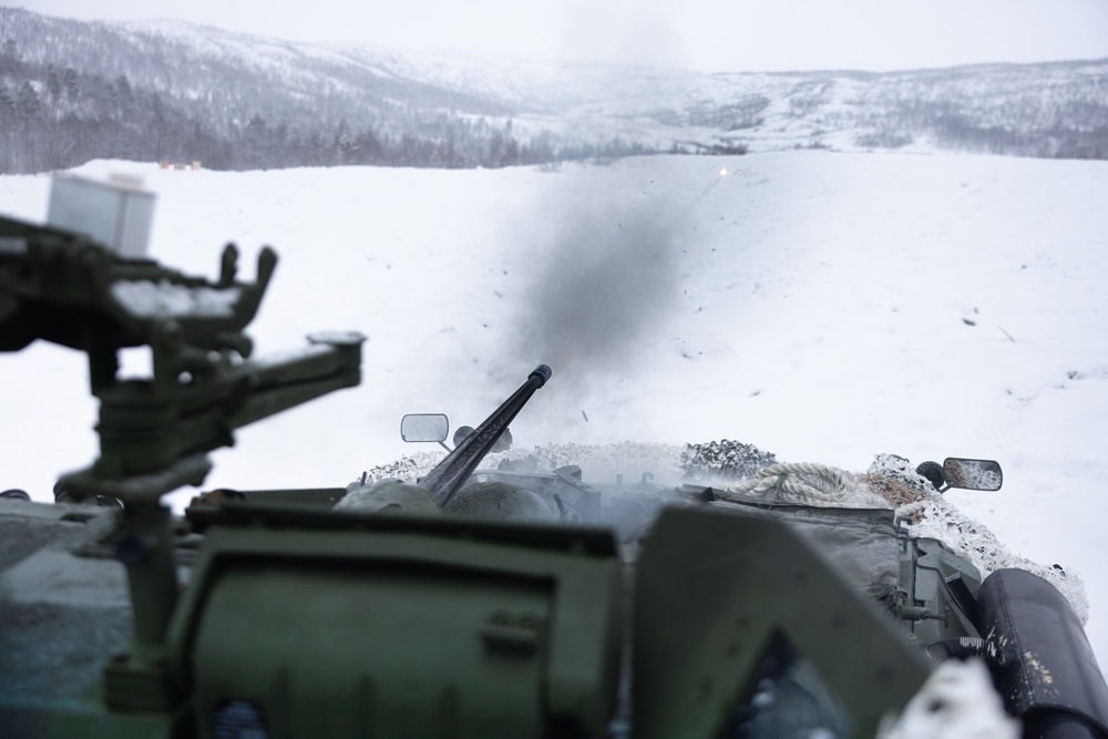 Exercise Joint Viking 25: LAV Zeroing Day