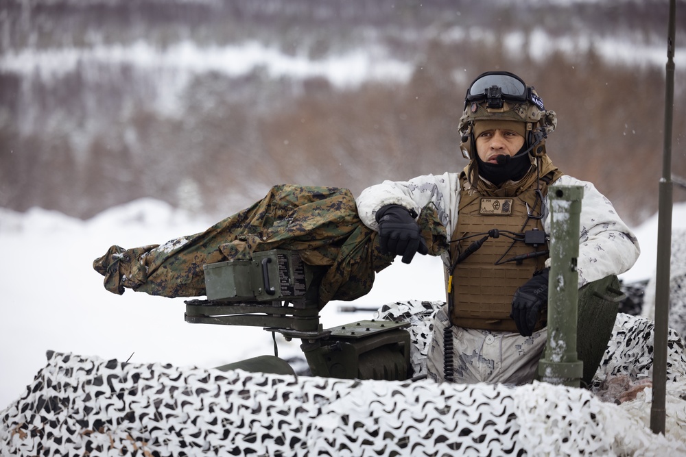 Exercise Joint Viking 25: LAV Zeroing Day