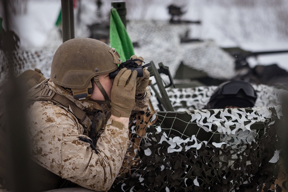 Exercise Joint Viking 25: LAV Zeroing Day