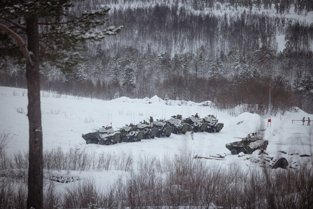 Exercise Joint Viking 25: LAV Zeroing Day