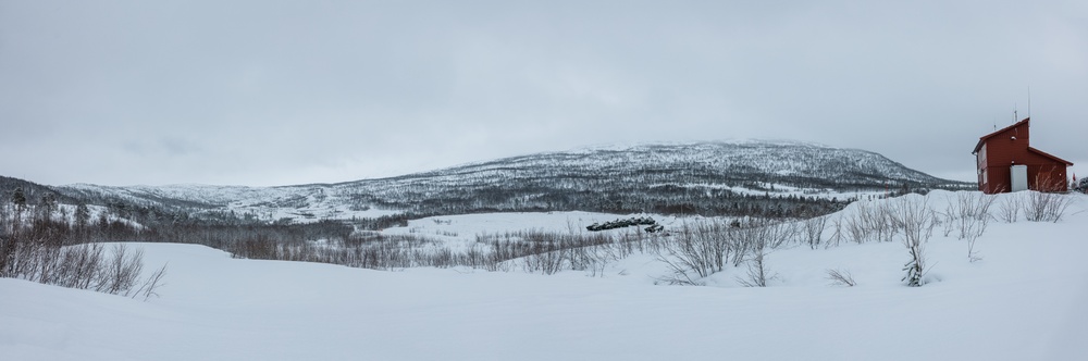 Exercise Joint Viking 25: LAV Zeroing Day