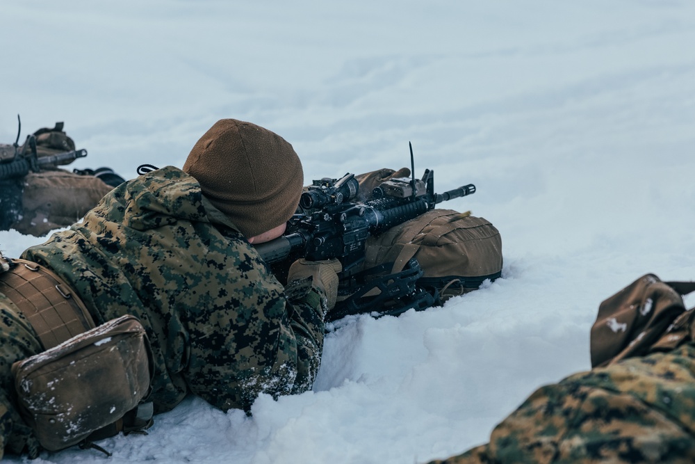 Exercise Joint Viking 25: Rounds Down Range