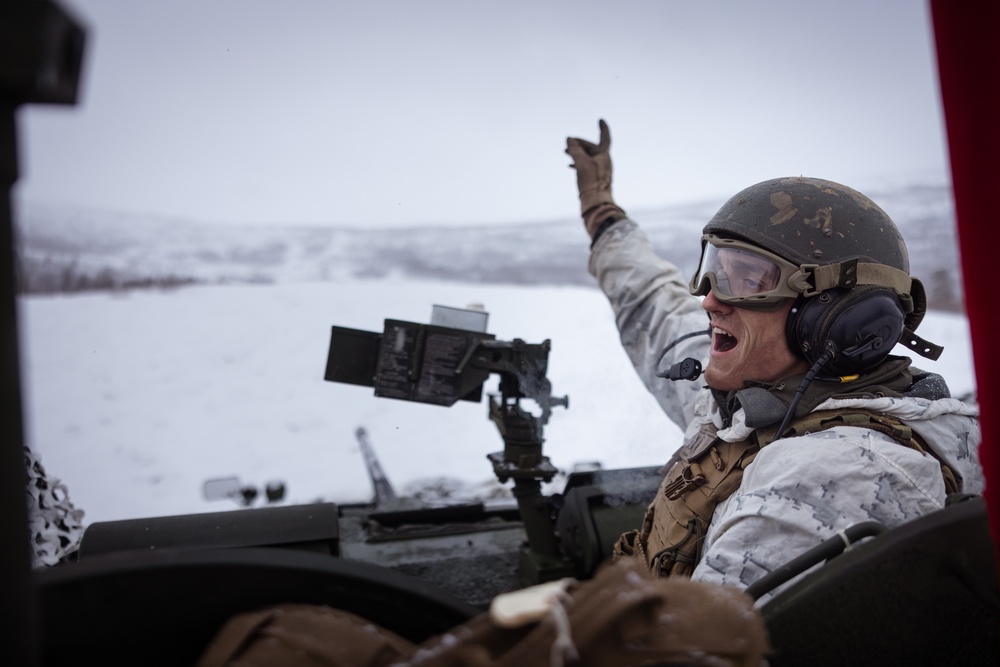 Exercise Joint Viking 25: LAV Zeroing Day