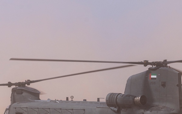 Intrepid Maven 25.2 MOUT Training