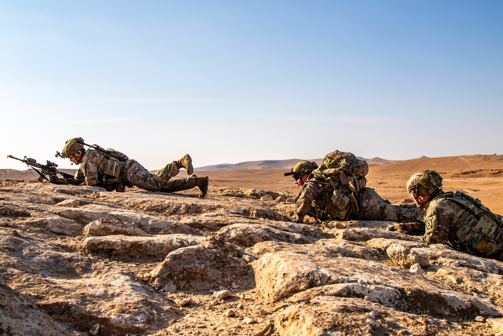 Task Force Courage Trains During Jade Chameleon