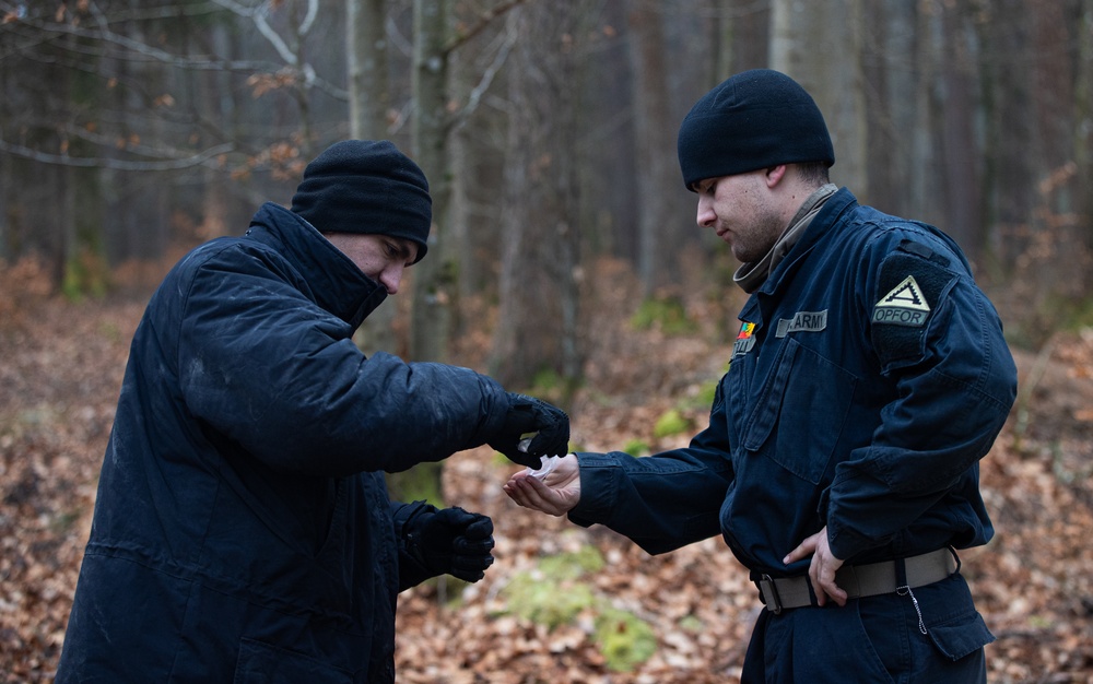 Alabama Guard Medics provide care, train with Active Duty Soldiers