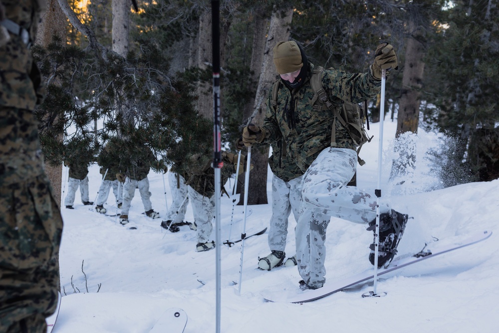 Marines with 3/5 conduct cold-weather patrols during Winter Mountain Leaders Course 1-25