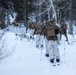 Marines with 3/5 conduct cold-weather patrols during Winter Mountain Leaders Course 1-25