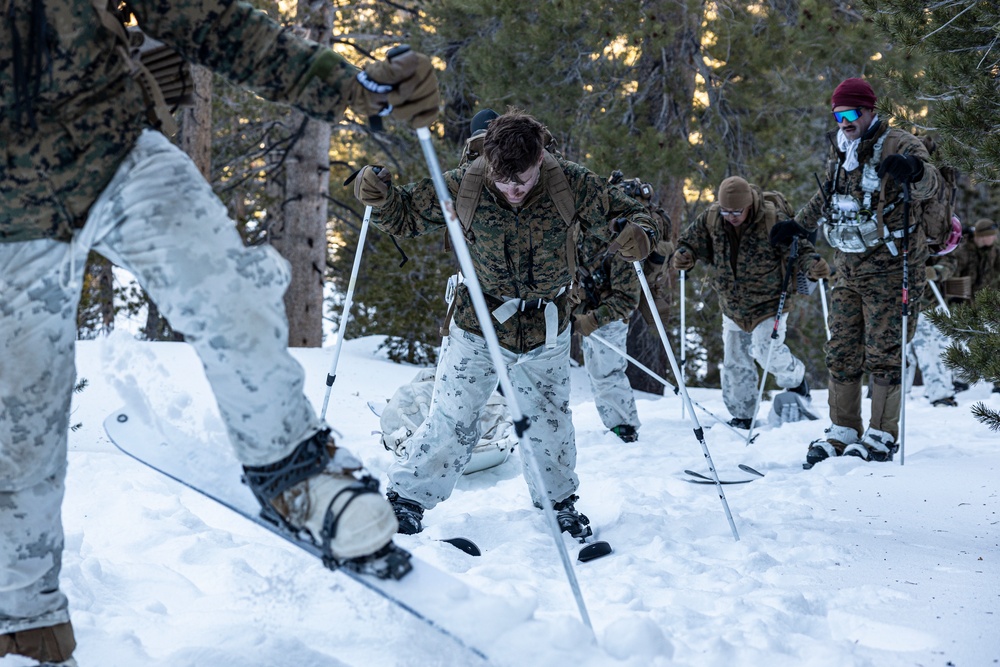 Marines with 3/5 conduct cold-weather patrols during Winter Mountain Leaders Course 1-25