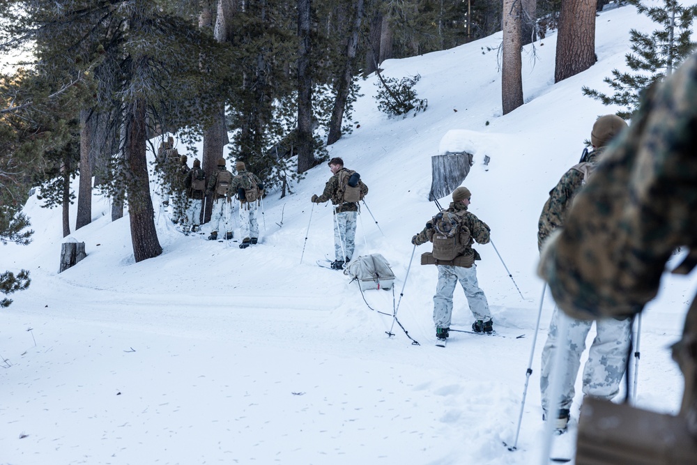 Marines with 3/5 conduct cold-weather patrols during Winter Mountain Leaders Course 1-25