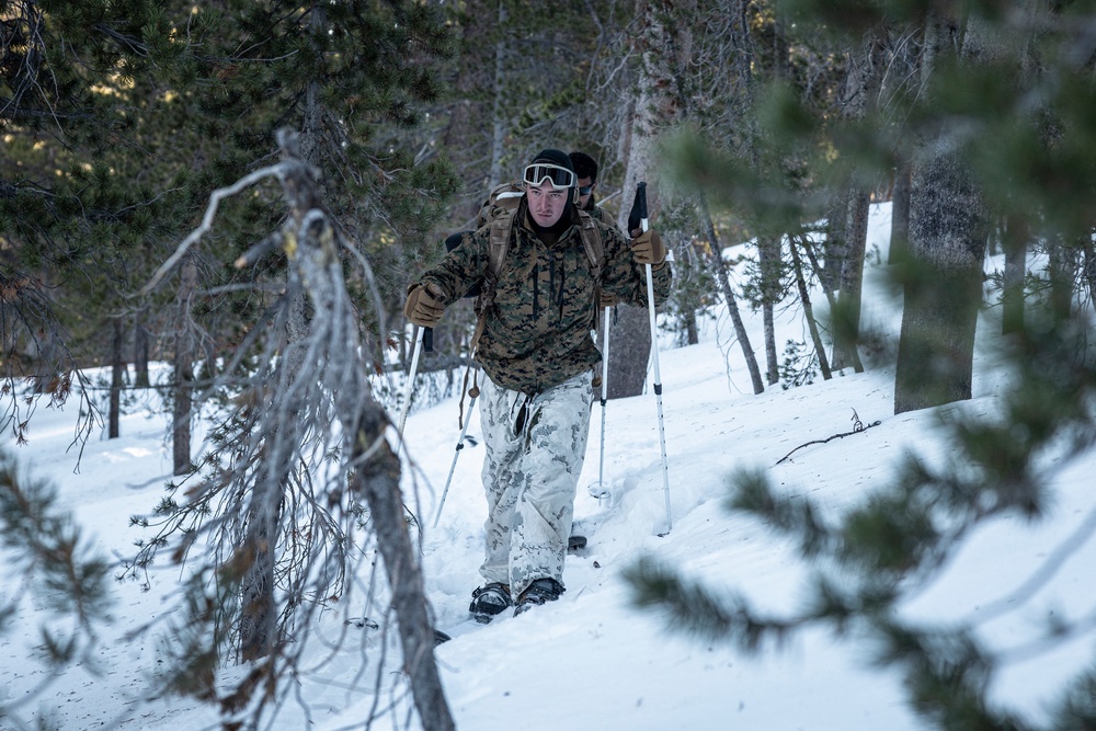 Marines with 3/5 conduct cold-weather patrols during Winter Mountain Leaders Course 1-25