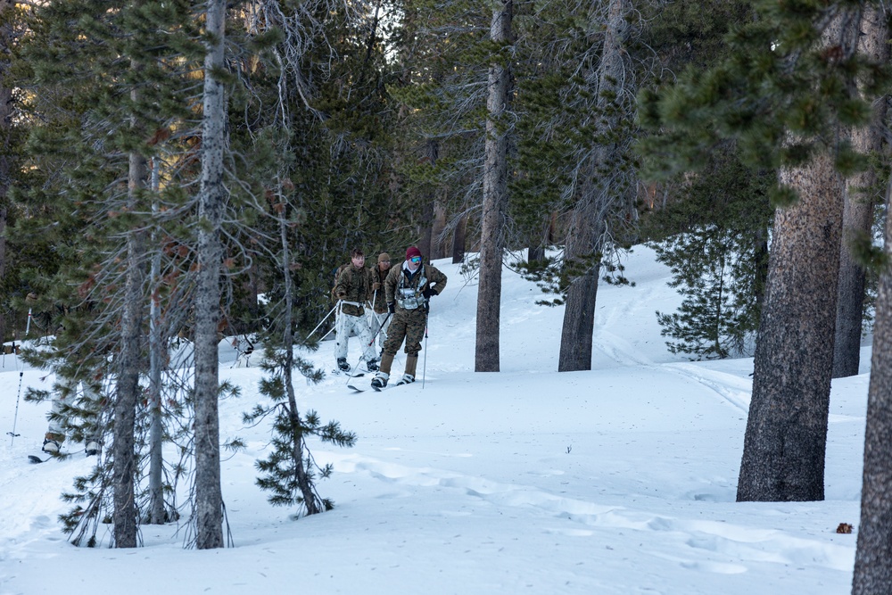 Marines with 3/5 conduct cold-weather patrols during Winter Mountain Leaders Course 1-25