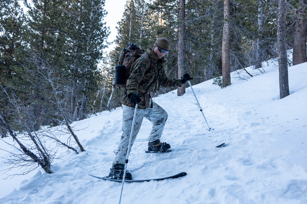 Marines with 3/5 conduct cold-weather patrols during Winter Mountain Leaders Course 1-25