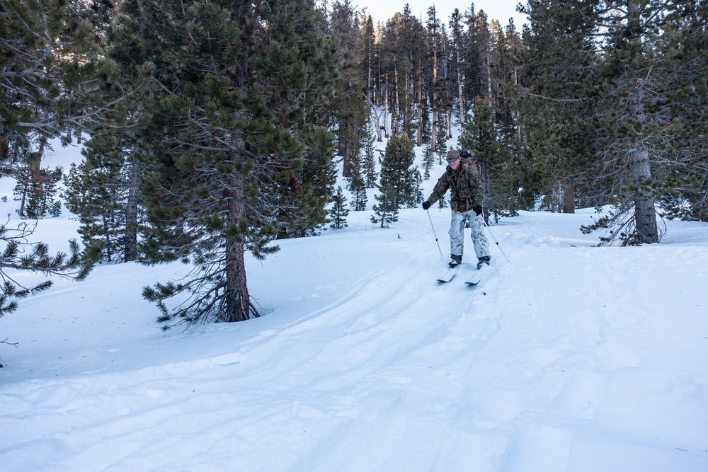 Marines with 3/5 conduct cold-weather patrols during Winter Mountain Leaders Course 1-25