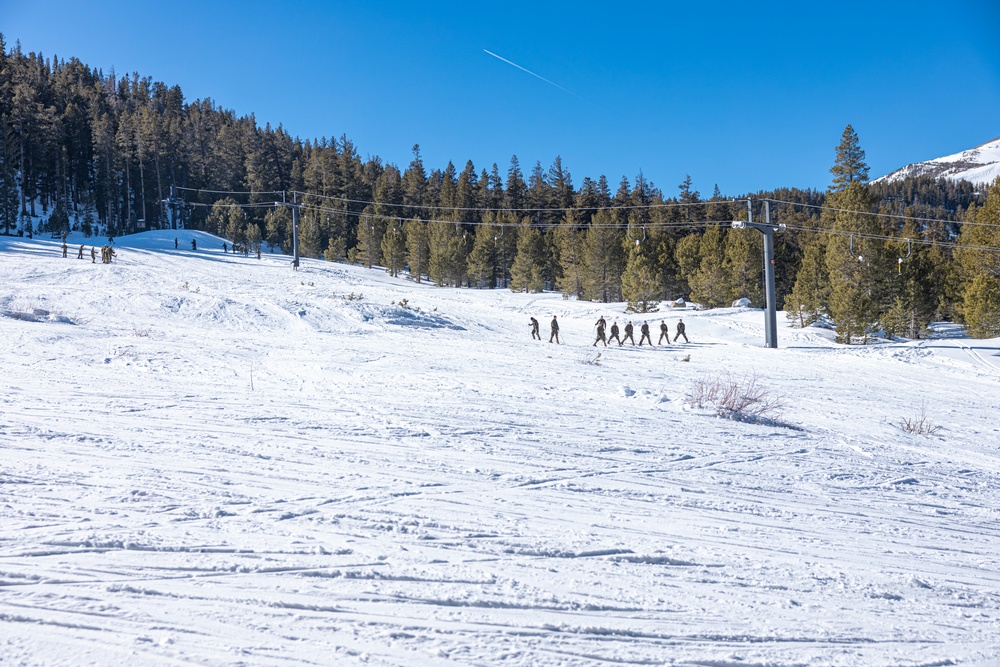 Marines with 3/5 conduct cold-weather patrols during Winter Mountain Leaders Course 1-25