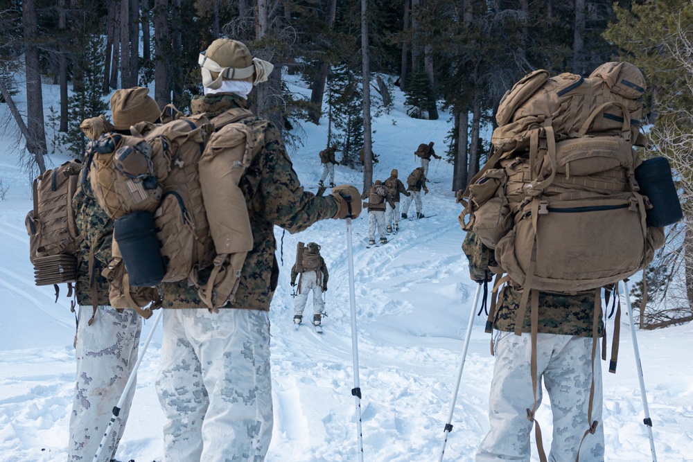 Marines with 3/5 participate in Avalanche Rescue Class during MTX 1-25