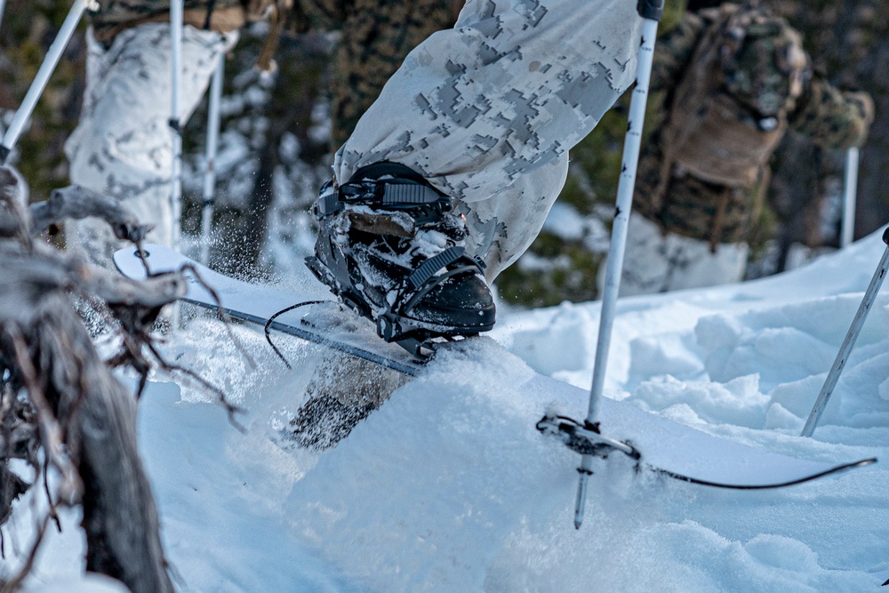 Marines with 3/5 participate in Avalanche Rescue Class during MTX 1-25