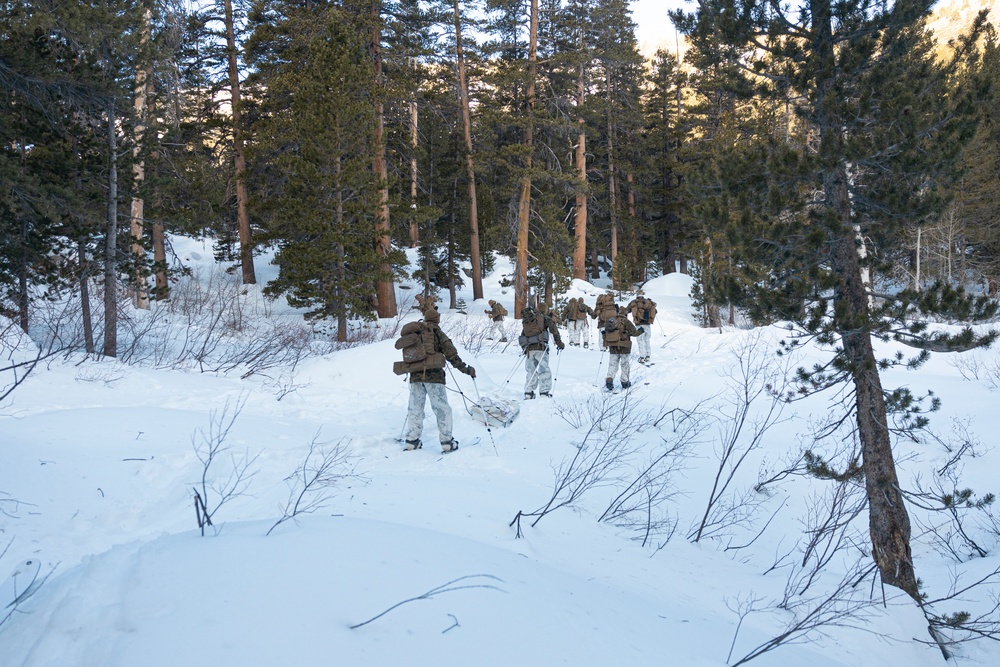 Marines with 3/5 participate in Avalanche Rescue Class during MTX 1-25