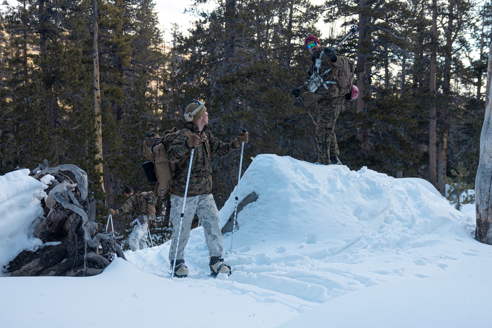 Marines with 3/5 participate in Avalanche Rescue Class during MTX 1-25