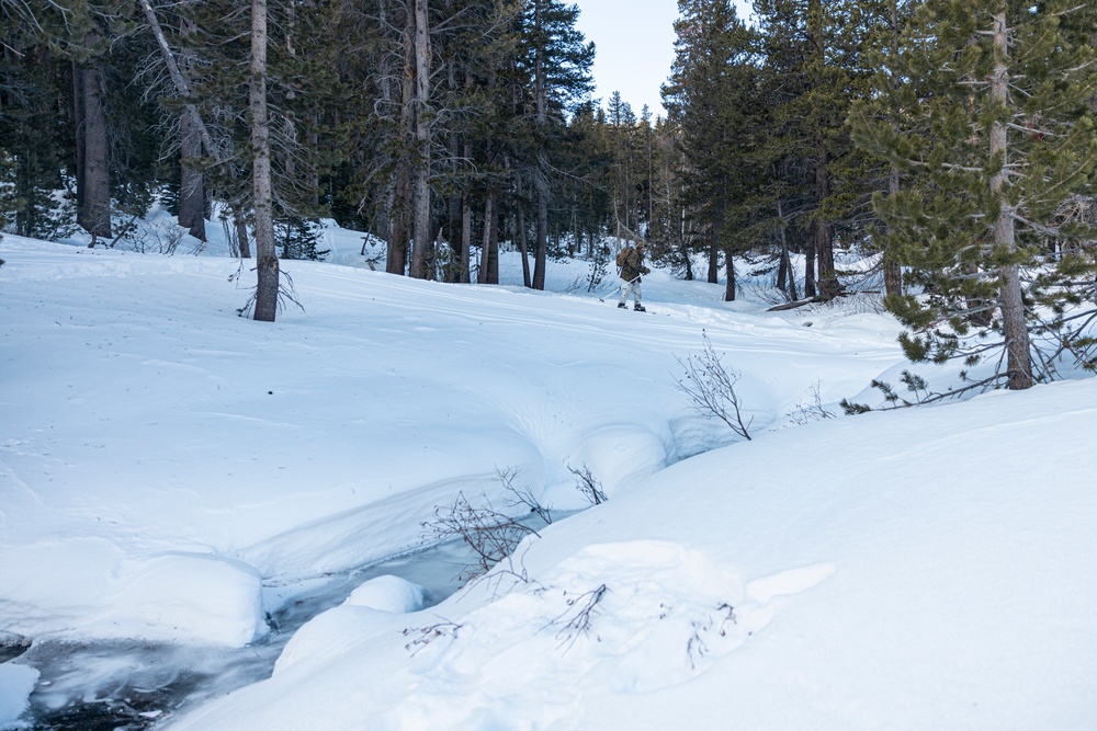 Marines with 3/5 participate in Avalanche Rescue Class during MTX 1-25