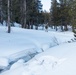 Marines with 3/5 participate in Avalanche Rescue Class during MTX 1-25