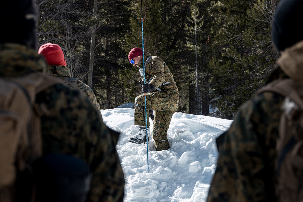 Marines with 3/5 participate in Avalanche Rescue Class during MTX 1-25