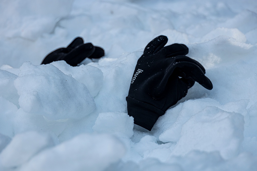 Marines with 3/5 participate in Avalanche Rescue Class during MTX 1-25